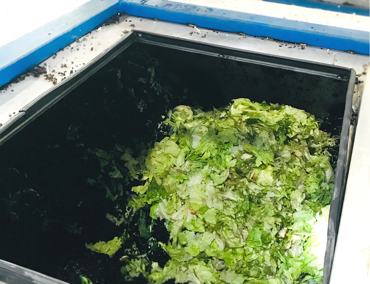 微生物消灭餐厨垃圾
